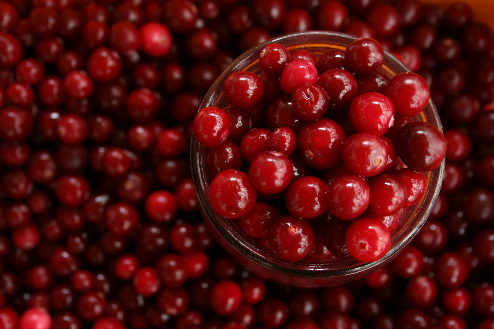 What Are The Carbs In Dried Cranberries Health Science Forum