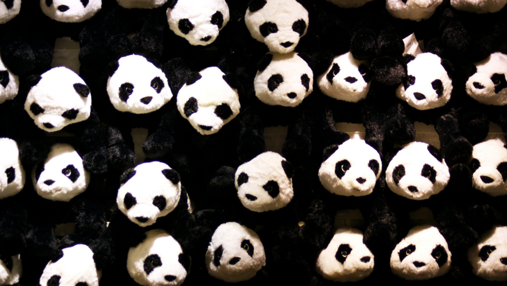 Wallpaper:ynhkl56abme= Panda