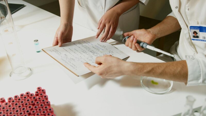 Researchers working